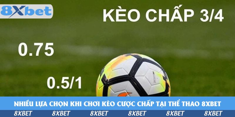 Nhiều lựa chọn khi chơi kèo cược chấp tại thể thao KU88