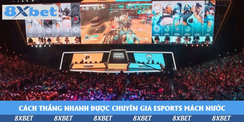 Cách thắng nhanh được chuyên gia esports mách&nbsp;