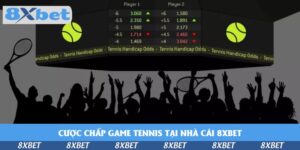 cuoc-chap-game-tennis-tai-nha-cai-KU88