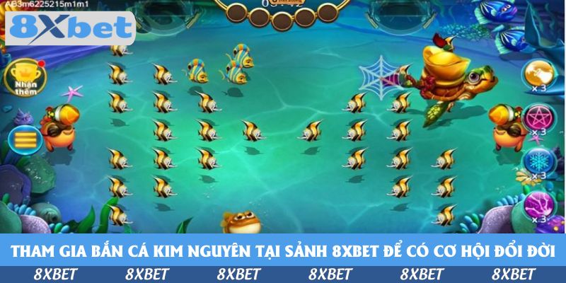 Tham gia bắn cá kim nguyên tại sảnh KU88 để có cơ hội đổi đời